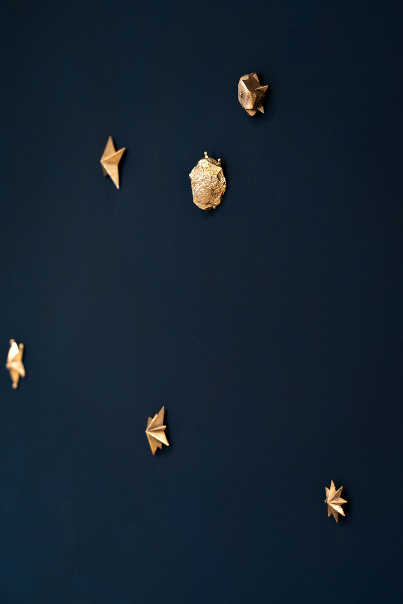Fixed Stars